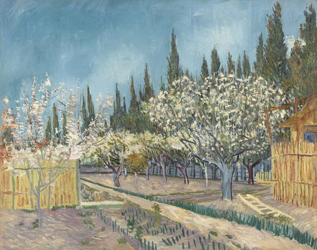 Vincent Van Gogh, Alberi da frutto tra i cipressi, 1888